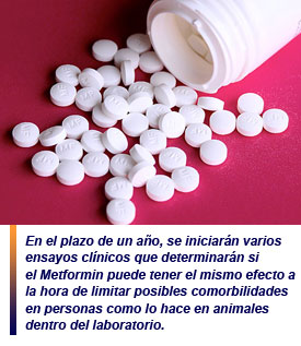 Metformin, la nueva panacea antiedad